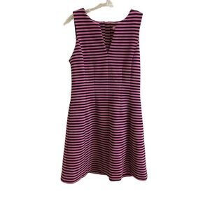 Lilly Pulitzer Brielle Fit & Flare Dress Pink and Navy Blue Stripes Medium